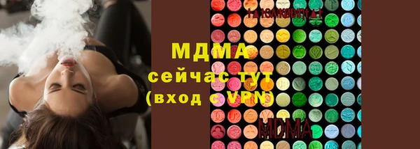 винт Гусь-Хрустальный