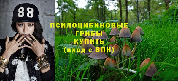 меф Гусев